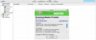 Aktivatsiya Download Master 7.1.3.1733 Repack By Kpojiuk.webp