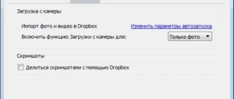 Aktivatsiya Dropbox 3.8.6.webp