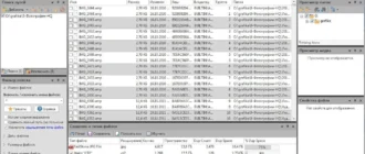 Aktivatsiya Duplicate File Detective 6.3.62 Enterprise Portable By Conservator.webp