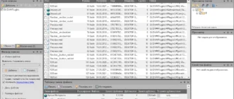 Aktivatsiya Duplicate File Detective 7.1.70 Repack By Elchupacabra.webp