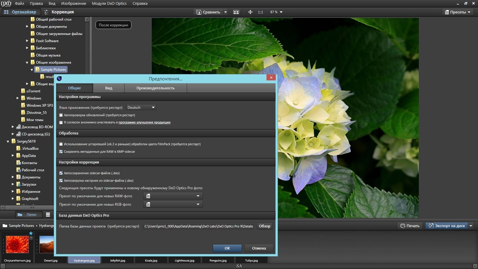 Aktivatsiya Dxo Optics Pro 9.5.1 Build 252 Elite Repack By Kpojiuk.webp
