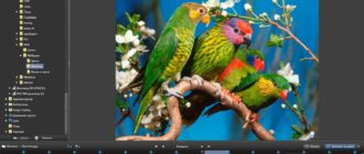 Aktivatsiya Dxo Optics Pro 9.5.2 Build 347 Elite Repack By Dakov.jpg