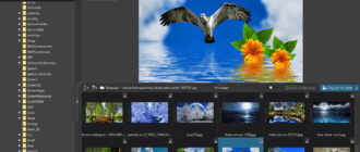 Aktivatsiya Dxo Photolab Elite 4.3.0 Build 4580 Portable By Conservator.png