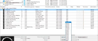 Aktivatsiya Ez Cd Audio Converter 9.1.6.webp