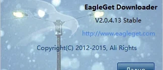 Aktivatsiya Eagleget 2.0.4.13.webp