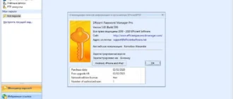 Aktivatsiya Efficient Password Manager Pro 5.60.559 Portable.webp