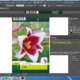 Aktivatsiya Esko Deskpack For Adobe Illustrator 16.0.2.webp