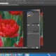 Aktivatsiya Esko Deskpack For Photoshop 16.0.2.webp