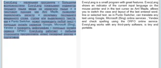 Aktivatsiya Everylang Pro 5.9 Portable By Conservator.webp