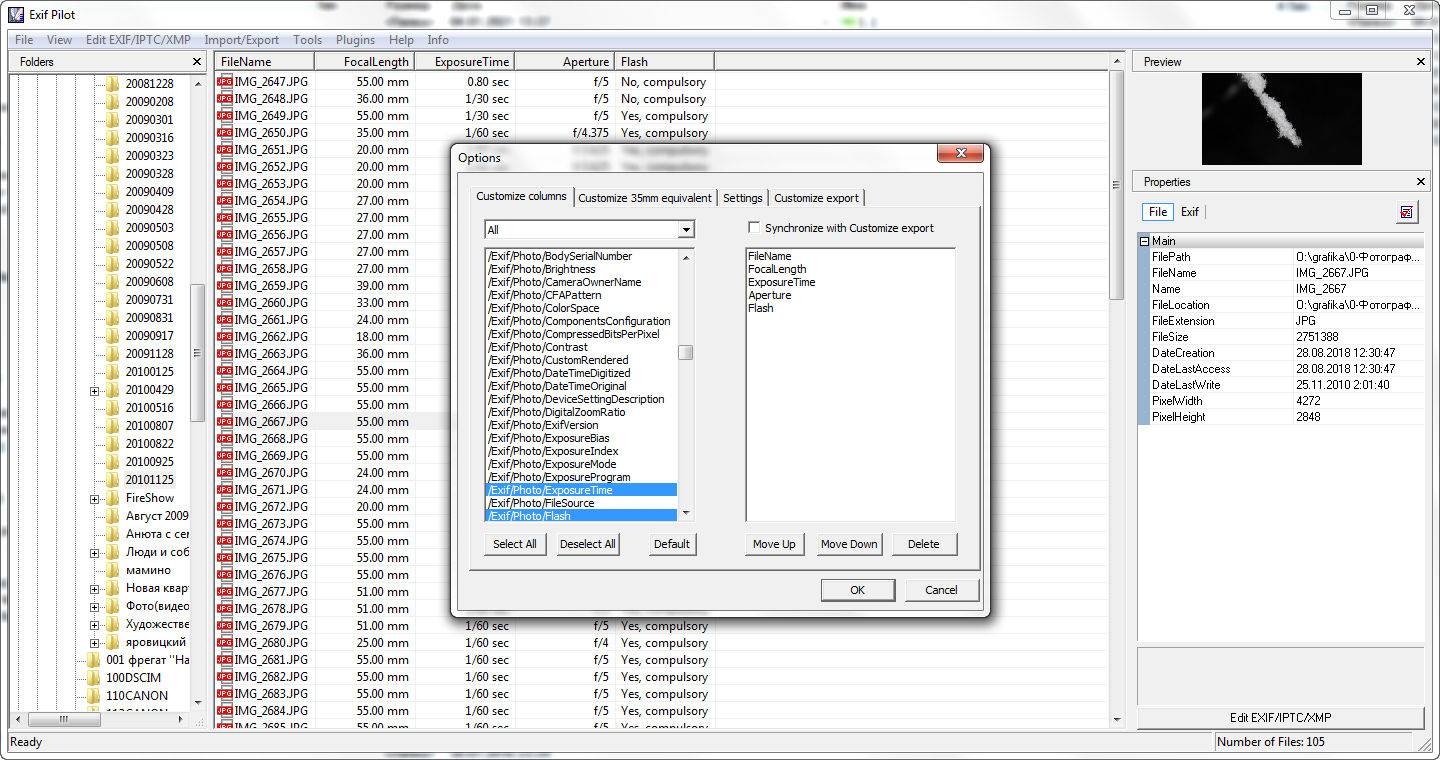 Aktivatsiya Exif Pilot 5.22.0.jpg