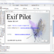 Aktivatsiya Exif Pilot 6.27.2 Batchplugin.png