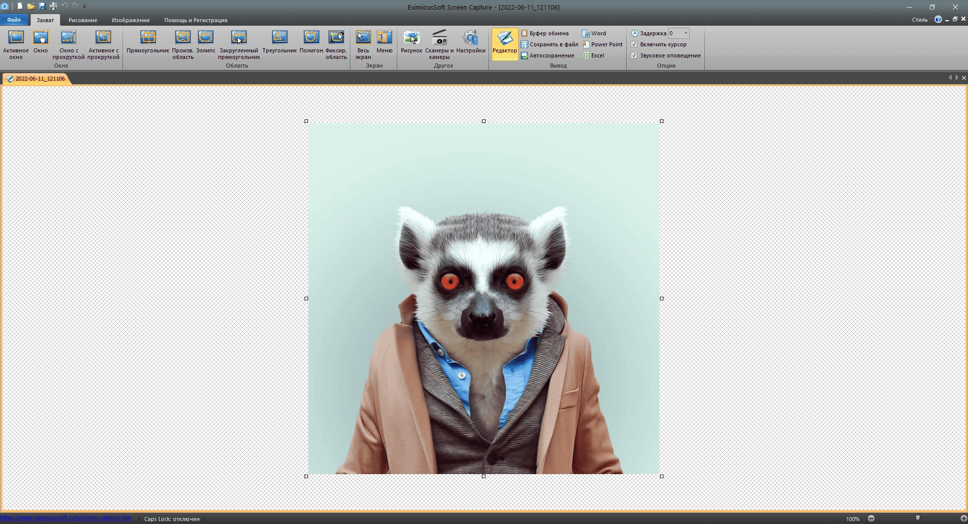 Aktivatsiya Eximioussoft Screen Capture 2.10 Repack By Elchupacabra.webp