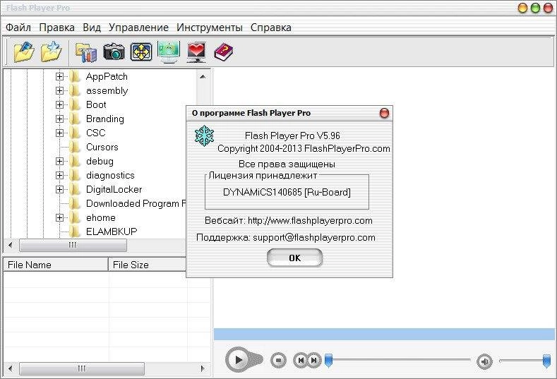 Aktivatsiya Flash Player Pro 5.96 Repack By Dynamics140685.webp