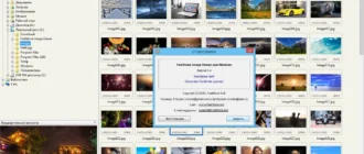 Aktivatsiya Faststone Image Viewer 5.4 Repack By Kpojiuk.webp