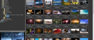 Aktivatsiya Faststone Image Viewer 5.5 Corporate Portable.webp