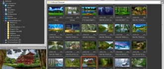 Aktivatsiya Faststone Image Viewer 7.7 Repack By Elchupacabra.webp