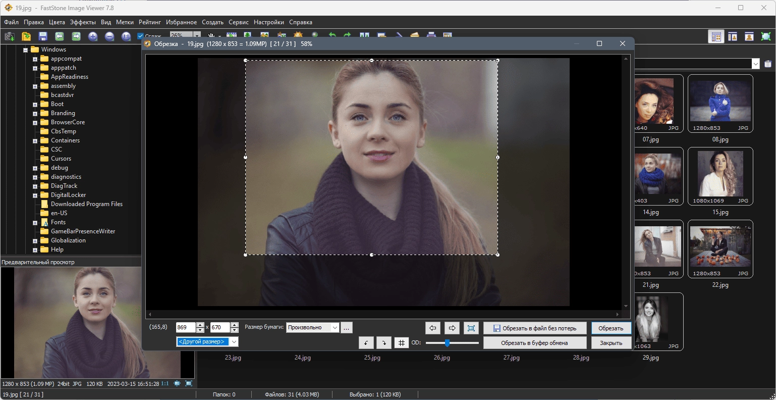 Aktivatsiya Faststone Image Viewer 7.8 Repack By Elchupacabra.webp