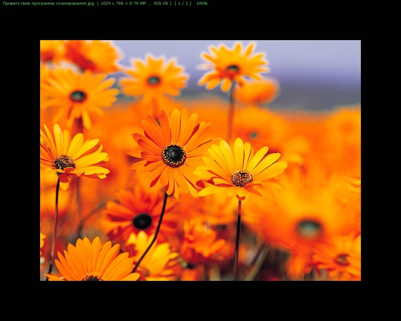 Aktivatsiya Faststone Image Viewer Corporate 7.8 Repack By Tryroom.webp