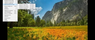 Aktivatsiya Faststone Maxview 3.1 Repack By Vipol.webp