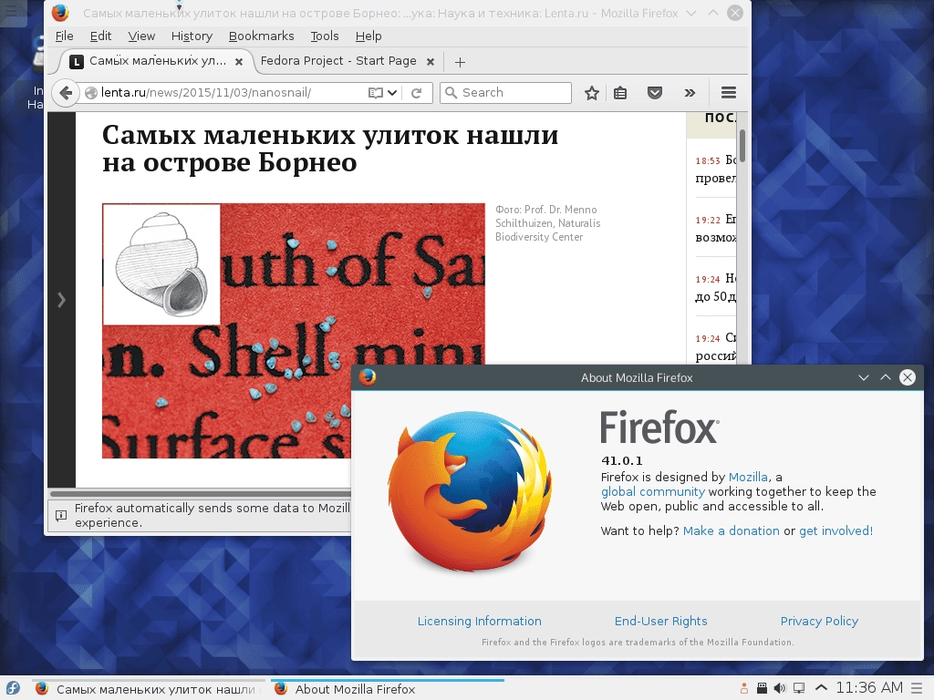 Aktivatsiya Fedora 23 Wayland Live 6xdvd.webp