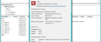 Aktivatsiya Filezilla 3.9.0.1 Final Portable.webp