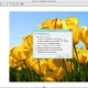 Aktivatsiya Fineprint 8.15 Repack By Kpojiuk.webp
