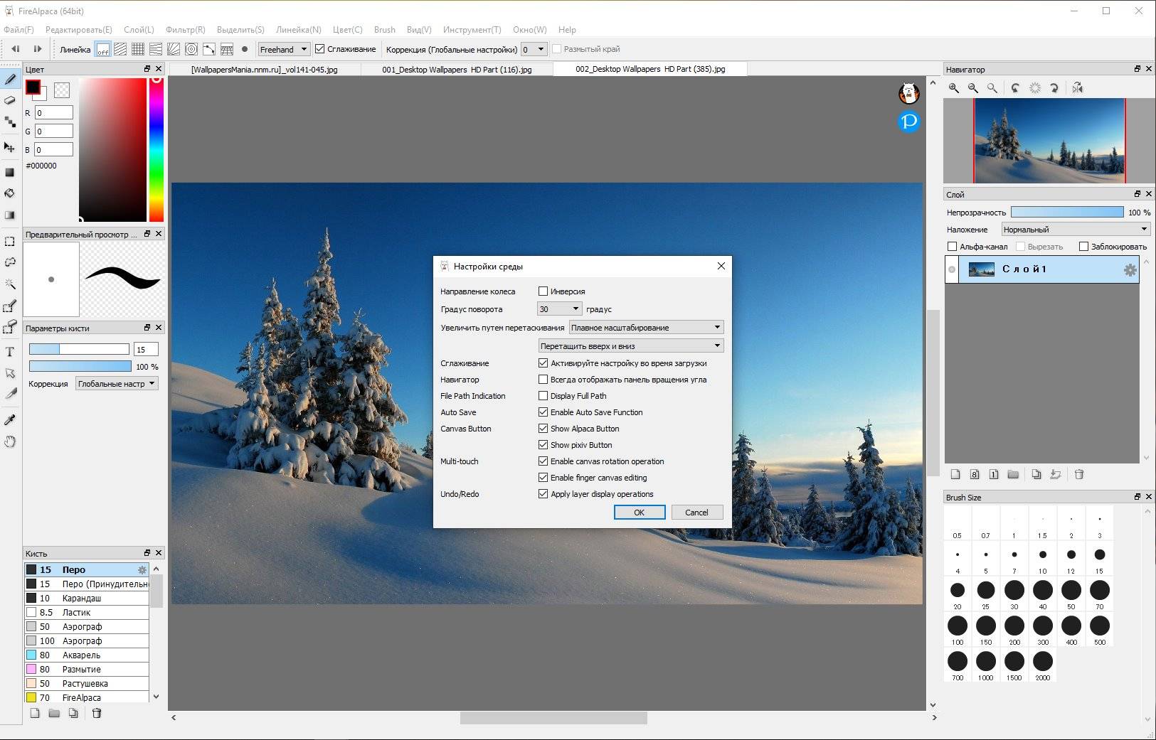 Aktivatsiya Firealpaca 2.11.20 Standalone.jpg