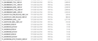 Aktivatsiya Flashdaten Vag Audi Vw Seat Skoda 01.06.2021 06.07.2021.webp