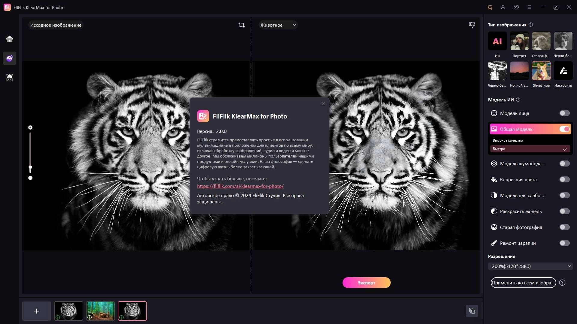 Aktivatsiya Fliflik Klearmax For Photo 3.0.0 Portable By Fc Portables.webp