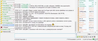 Aktivatsiya Flylinkdc R503 Build 19521 Stable Portable Hablist.webp