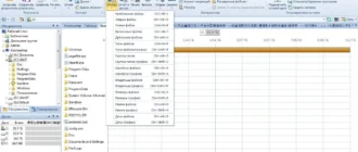 Aktivatsiya Foldersizes 7.1.92 Enterprise Edition Portable By Sitego.webp