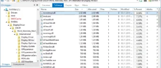 Aktivatsiya Foldersizes 8.0.102 Enterprise Edition.webp
