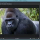 Aktivatsiya Fotomaster 7.0 Repack By Tryroom.webp