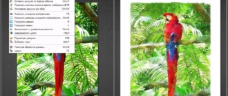 Aktivatsiya Fotosketcher 3.98 Final Portable.webp