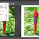 Aktivatsiya Fotosketcher 3.98 Final Portable.webp