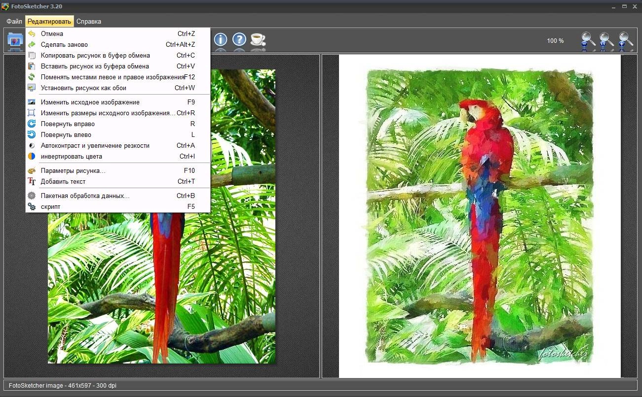 Aktivatsiya Fotosketcher 3.98 Final Portable.webp