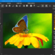 Aktivatsiya Franzis Focus Projects Pro 5.34.03722.png