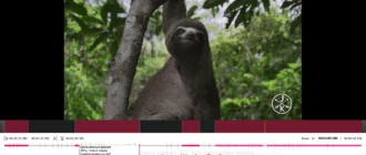 Aktivatsiya Free Video Editor 1.4.58.919 Premium.webp