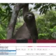 Aktivatsiya Free Video Editor 1.4.58.919 Premium.webp