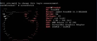 Aktivatsiya Freebsd 11.3 Release 2xdvd 4xcd.webp