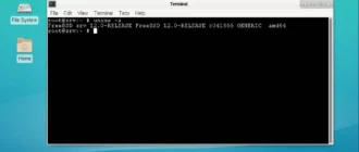 Aktivatsiya Freebsd 12.0 1xdvd.webp