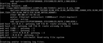 Aktivatsiya Freebsd 13.3 2xdvd.webp