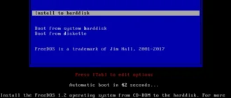 Aktivatsiya Freedos 1.2 1xcd.webp