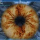 Aktivatsiya Furmark 1.17.0.0.webp