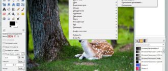 Aktivatsiya Gimp 2.10.0 Rc2.jpg