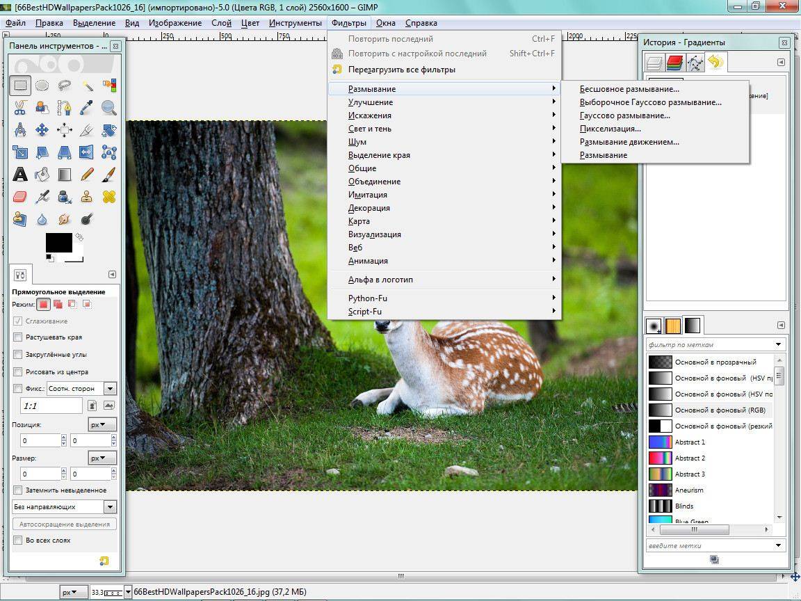 Aktivatsiya Gimp 2.10.0 Rc2.jpg