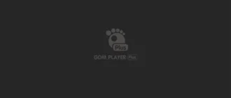 Aktivatsiya Gom Player Plus 2.3.25.5282 Repack By Manshet.webp