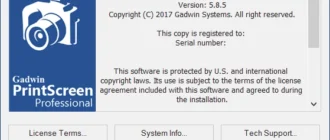 Aktivatsiya Gadwin Printscreen Pro 5.8.5.webp