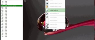 Aktivatsiya Gif Recorder 3.1.0.0 Portable.jpg
