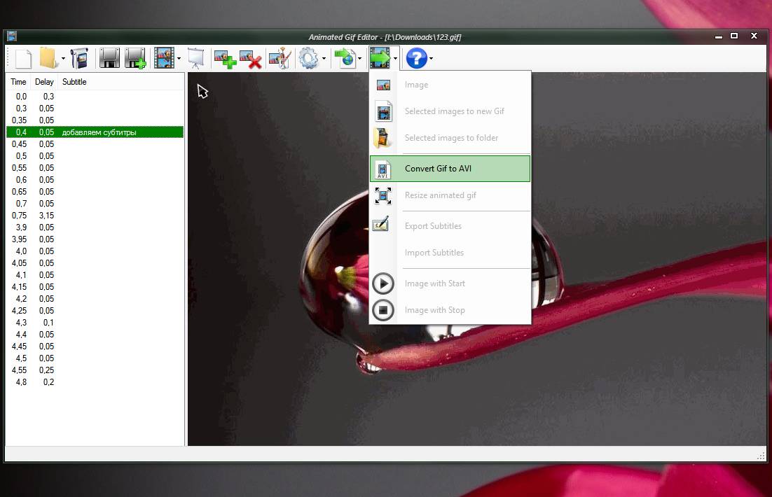 Aktivatsiya Gif Recorder 3.1.0.0 Portable.jpg